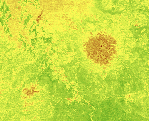 NDVI