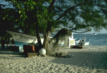 photo of shore scene