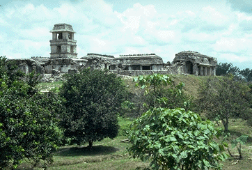 photo of Palenque